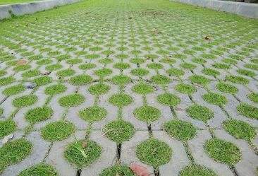 包頭草坪磚現場(chǎng)案例